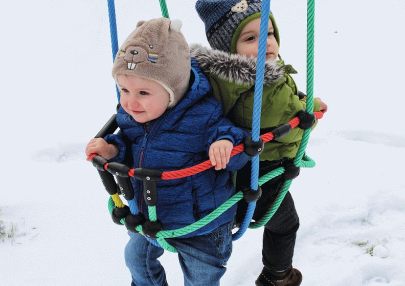 Double Toddler Swing