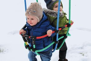 Double Toddler Swing