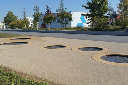 Trampolin „Circus“ mit geschlossener Matte