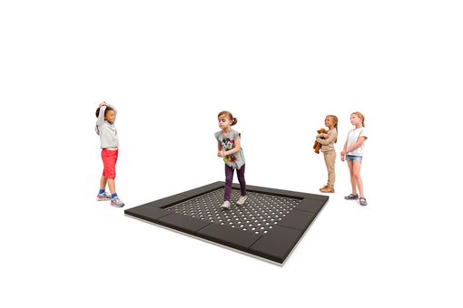 Mini-Trampoline for setting up with high quality wooden cladding