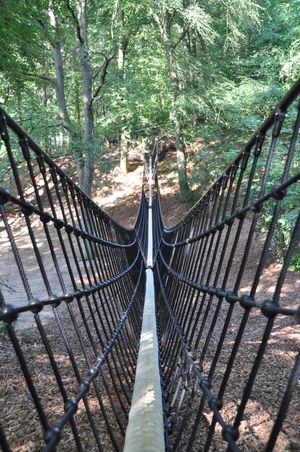 Die neue Hängeseilbrücke der HUCK Seiltechnik im Barfußpark Egestorf