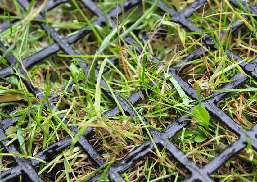 Lawn Protection Mat