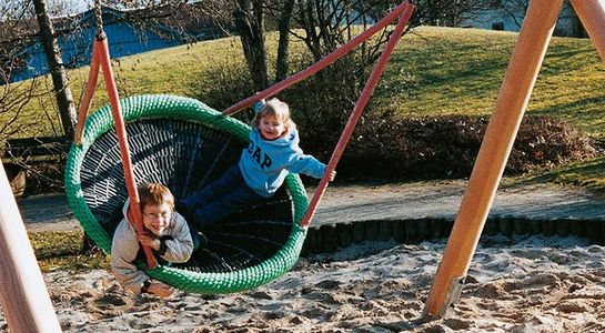 Schaukelgestell aus Douglasie, Aufhängehöhe 2,50 m