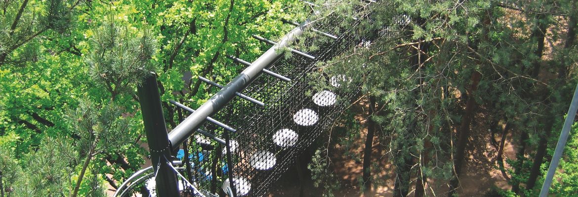 Airy forest teaching paths with HUCK Seiltechnik