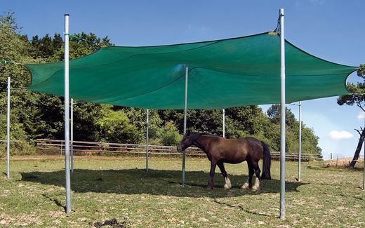 HUCK stellt Pferde in den Schatten