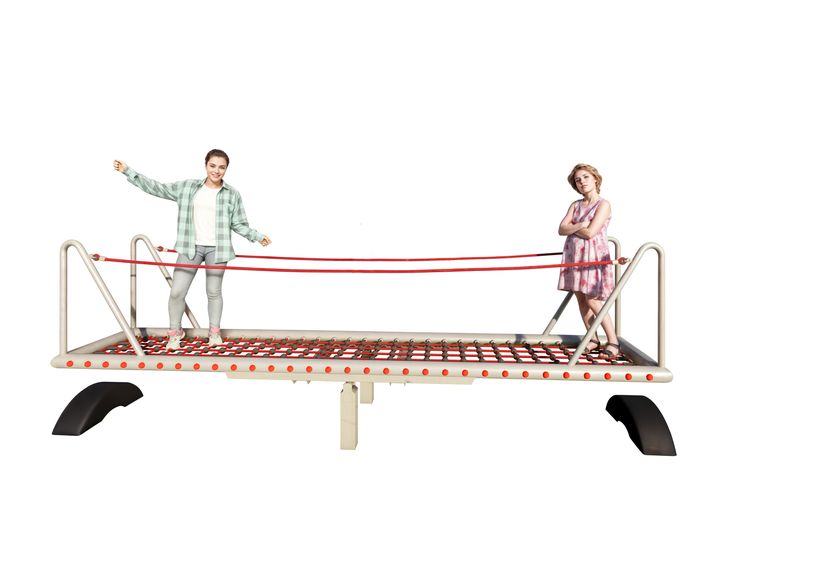 Net Seesaw with Steel