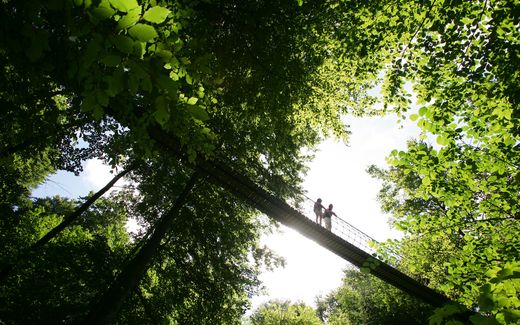 Netzbrücken maßgeschneidert