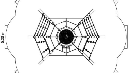 Vogelnest® Spinne