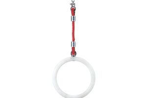 Gymnastics rings per piece with PP multifilament hanging ropes