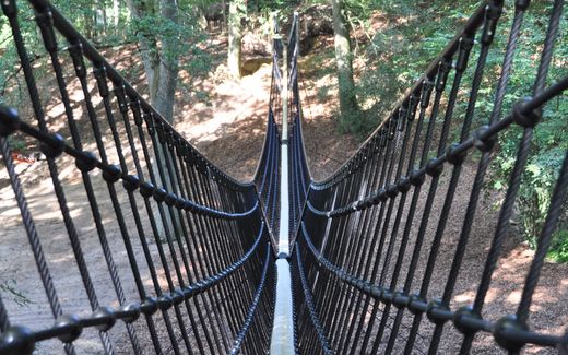 Die neue Hängeseilbrücke der HUCK Seiltechnik im Barfußpark Egestorf