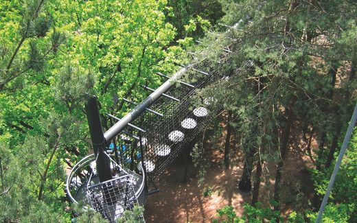 Luftige Waldlehrpfade mit HUCK Seiltechnik