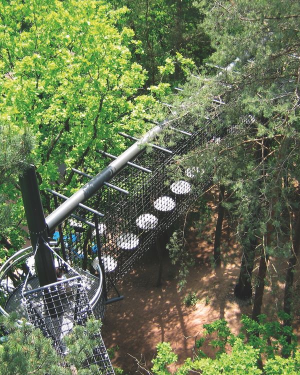 Airy forest teaching paths with HUCK Seiltechnik