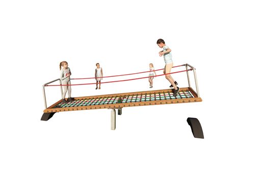 Net Seesaw with wood