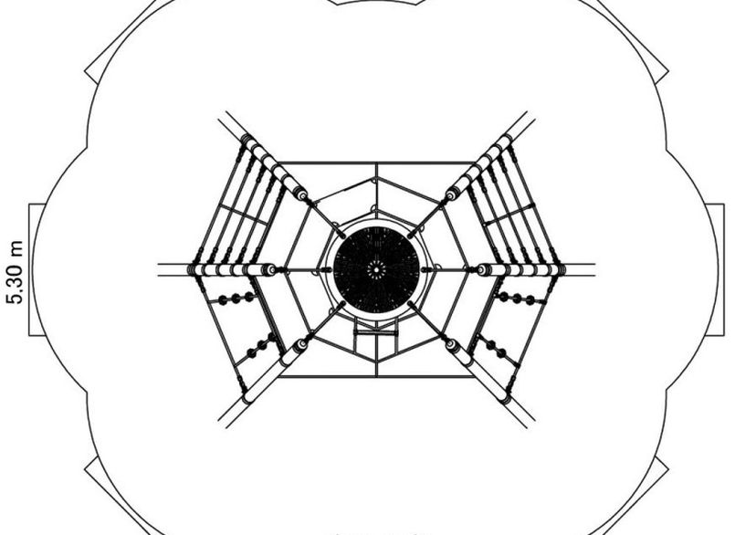 Vogelnest® Spinne