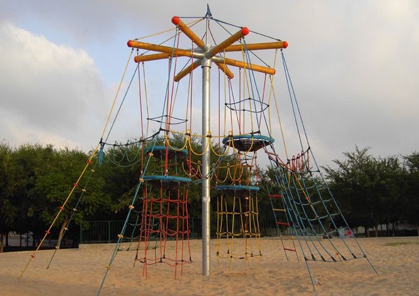 Vogelnestbaum