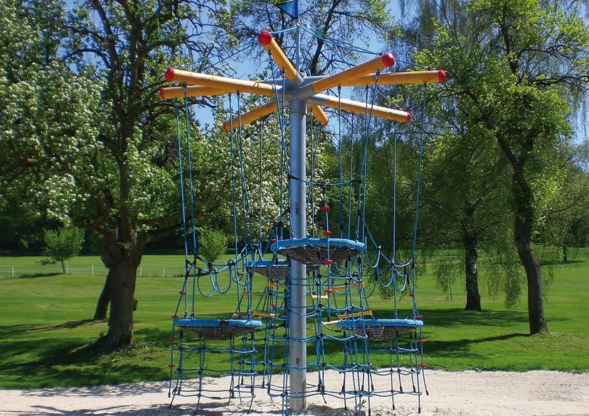 Vogelnestbaum Midi