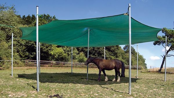 HUCK stellt Pferde in den Schatten