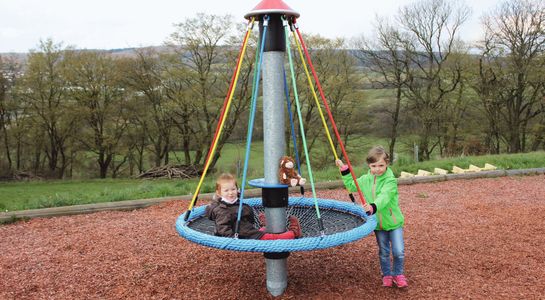 Mini bird's nest carousel