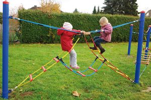 3-part Ladder "Fun course" - Robinia