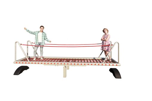 Net Seesaw with Steel